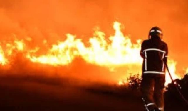 حرائق الغابات ـ صورة أرشيفية