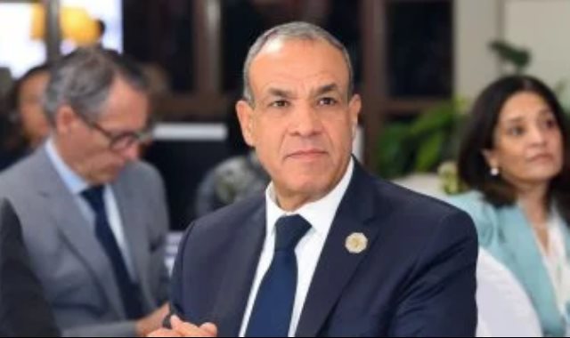 وزير الخارجية بدر عبد العاطى