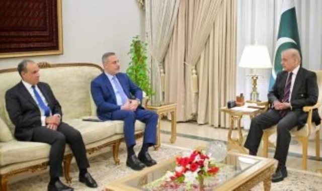 وزير الخارجية المصري ونظيره التركي والباكستاني