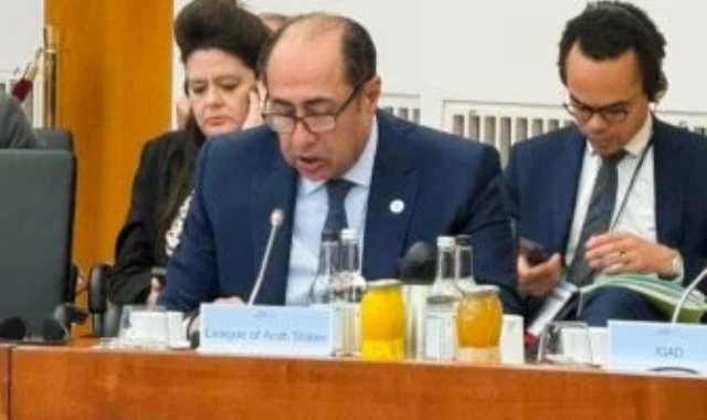 السفير حسام زكي