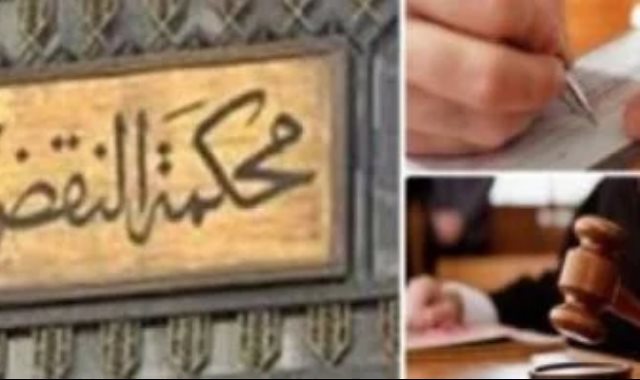 النقض تلغى حكم بطلان عضوية نائبي مجلس النواب بالنظام الفردي