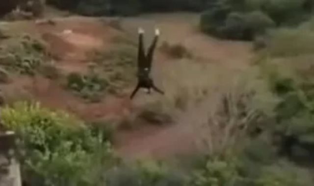 جانب من القفزة