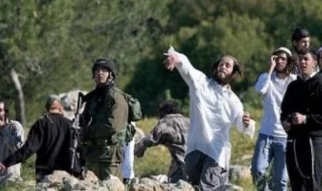 فلسطين