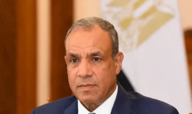 د. بدر عبد العاطي وزير الخارجية