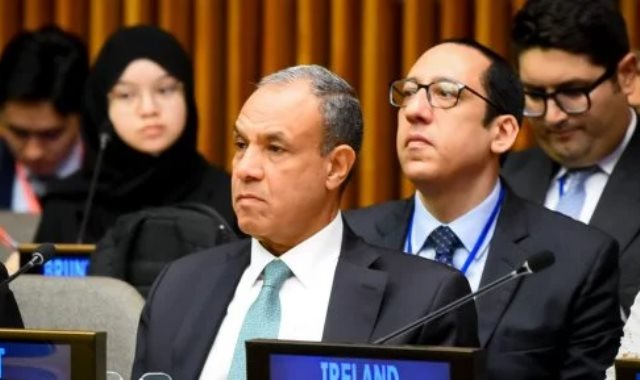 بدر عبد العاطى وزير الخارجية