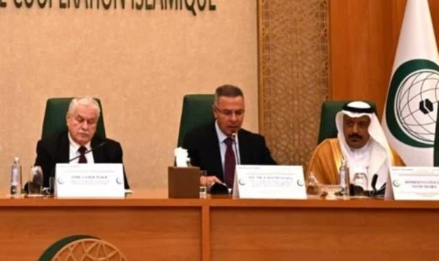 السفير الدكتور فائد مصطفى الأمين العام المساعد لجامعة الدول العربية
