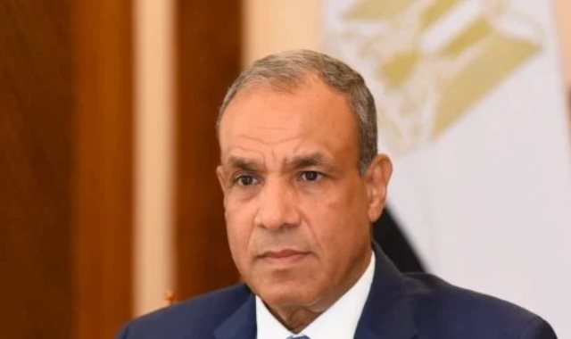 وزير الخارجية بدر عبد العاطي