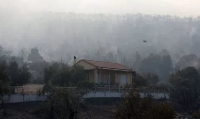 حرائق الغابات ـ صورة أرشيفية