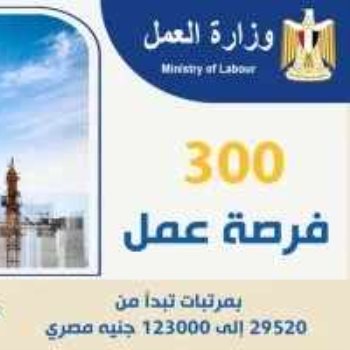 وزير العمل يعلن عن 300 فرصة عمل بإحدى الدول العربية