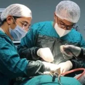 فريق جراحة الوجه والفكين بمستشفى الشيخ زايد التخصصي