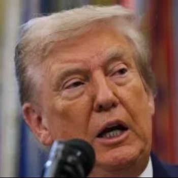 الرئيس الأمريكى دونالد ترامب