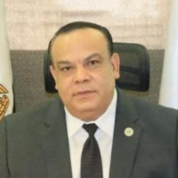 القاضي حازم بدوي رئيس الهيئة الوطنية للانتخابات