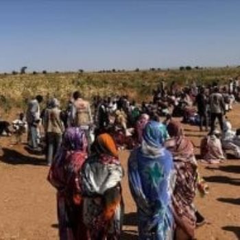 نازحو الفاشر