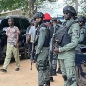 الجيش النيجيرى