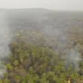 المخاطر البيئية تهدد غابات الأمازون