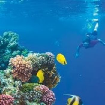 ديلى ميل تتغنى بمناخ مصر وتنصح بالغطس