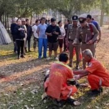 فيل يدهس سائح في تايلاند