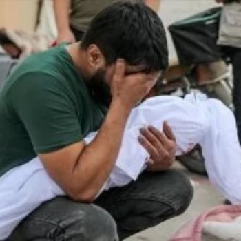 شهداء غزة
