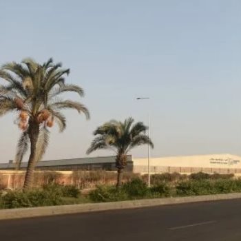 طقس معتدل