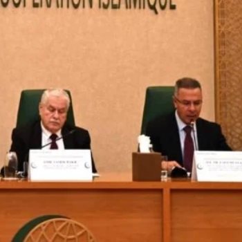 السفير الدكتور فائد مصطفى الأمين العام المساعد لجامعة الدول العربية