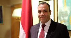 السفير بدر عبد العاطي، سفير مصر في ألمانيا