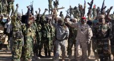 إحباط هجوم مسلح لبوكو حرام استهدف شاحنات مضادة للطائرات