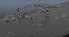 إعادة إحياء زاحف منقرض منذ 290 مليون سنة