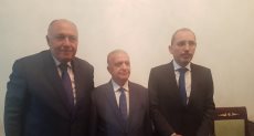 وزراء خارجية مصر والأردن والعراق 