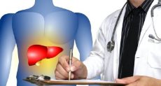 الكبد يؤدى دورا كبيرا في تطهير الجسم من السموم