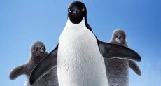  فيلم Penguins