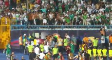 مشجعي الجزائر