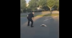 شرطى يساعد حيوان
