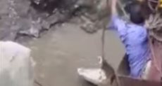 رجل شجاع ينقذ تمساح ضخم سقط فى بئر بالهند