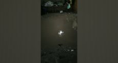  غرق شارع بقرية جماجمون بكفر الشيخ بمياه الصرف الصحى