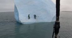 مغامرين يتسلقان جبل من الجليد