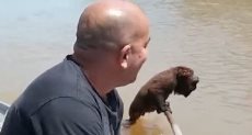 الصياد ينقذ القرد 