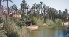 محافظة البصرة- ارشيفية