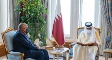 وزير الخارجية يسلم أمير قطر رسالة الرئيس السيسي