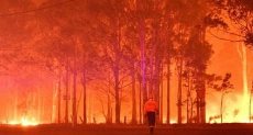 حرائق الغابات - صورة أرشيفية
