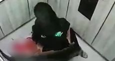 الكلب يهاجم المرأة فى المصعد