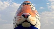 طائرة تنقل الفهود إلى الهند