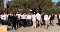 عشرات المستوطنين الإسرائيليين يقتحمون الأقصى