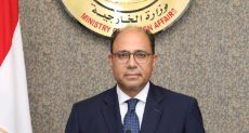 المتحدث الرسمي باسم وزارة الخارجية المصرية السفير أحمد أبو زيد