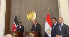 وزيرا الخارجية المصري والكيني