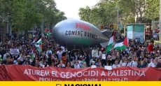 مظاهرات دعم فلسطين