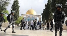 الاحتلال في المسجد الأقصى
