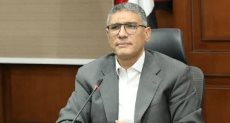 المهندس عادل النجار محافظ الجيزة