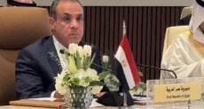وزير الخارجية بدر عبد العاطي