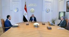 الرئيس عبد الفتاح السيسي
