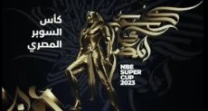 كأس السوبر المصرى